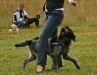 img_4398ps_kl img_4398ps_kl