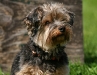 img_2350pskl img_2350pskl